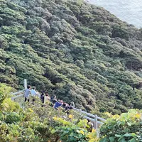 大瀬崎灯台展望台の写真・動画_image_1245291