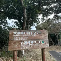 大瀬崎灯台の写真・動画_image_1245337