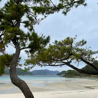 蛤浜海水浴場の写真・動画_image_1245401