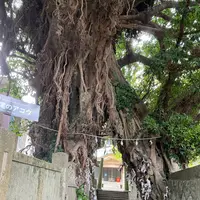奈良尾神社の写真・動画_image_1245403