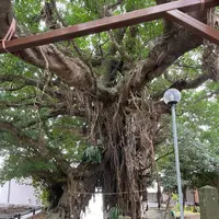 奈良尾神社の写真・動画_image_1245405