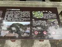 奈良尾神社の写真・動画_image_1245407