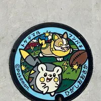 トゲデマルとワンパチのポケふたの写真・動画_image_1248545