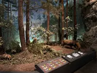 埼玉県立自然の博物館の写真・動画_image_1252109