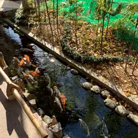 秩父神社の写真・動画_image_1252112