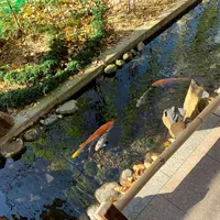 秩父神社の写真・動画_image_1252113