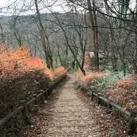 天覧山の写真・動画_image_1253765