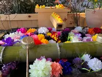 白根神社の写真・動画_image_1267380
