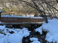 西の河原露天風呂の写真・動画_image_1267385