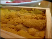 しらすくじらの写真・動画_image_126764