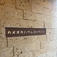 カメオカハサムコッペパンの写真・動画_image_1270367
