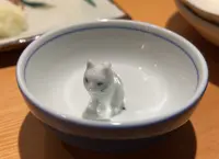 日本酒バル 金澤酒趣の写真・動画_image_1276100