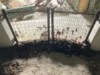 豊予要塞洞窟式砲台跡の写真・動画_image_1282058
