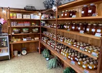 〒489-0035 愛知県瀬戸市紺屋田町６５の写真・動画_image_1287673