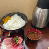 まぐろ太郎の写真・動画_image_1291133