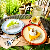 파이하우스の写真・動画_image_1294224