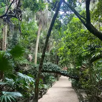青島神社の写真・動画_image_1296255