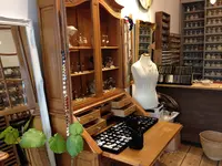 Voyageurの写真・動画_image_129963