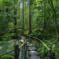 天授庵の写真・動画_image_1302817