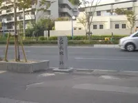 天満の写真・動画_image_130816