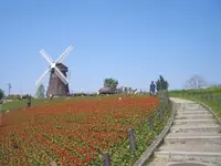 花博記念公園鶴見緑地の写真・動画_image_130917
