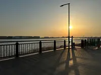 ソラムナード羽田緑地の写真・動画_image_1310166