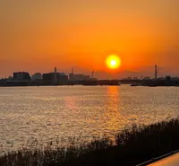 ソラムナード羽田緑地の写真・動画_image_1310168