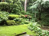 五頭今板温泉 湯本舘の写真・動画_image_131109