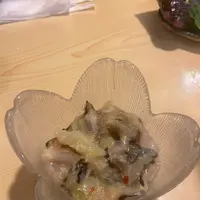 魚の松本の写真・動画_image_1311987