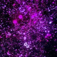 チームラボプラネッツ TOKYO (teamLab Planets TOKYO) DMMの写真・動画_image_1315899