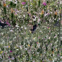 チームラボプラネッツ TOKYO (teamLab Planets TOKYO) DMMの写真・動画_image_1315900