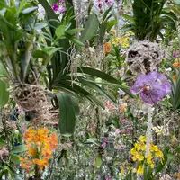 チームラボプラネッツ TOKYO (teamLab Planets TOKYO) DMMの写真・動画_image_1315901