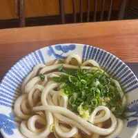 山下うどん店の写真・動画_image_1317422