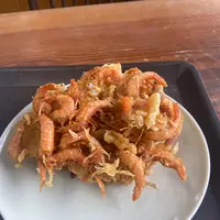 山下うどん店の写真・動画_image_1317423