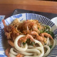 山下うどん店の写真・動画_image_1317424