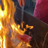 土佐たたき道場の写真・動画_image_1318230