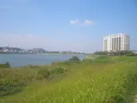 狭山池の写真・動画_image_131865