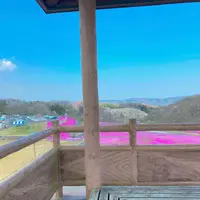 市貝町芝ざくら公園の写真・動画_image_1323657