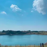 市貝町芝ざくら公園の写真・動画_image_1323658