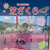 市貝町芝ざくら公園の写真・動画_image_1323659