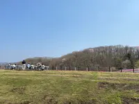 市貝町芝ざくら公園の写真・動画_image_1323662