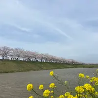 おの桜づつみ回廊の写真・動画_image_1323790