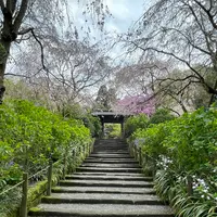 明月院（あじさい寺）の写真・動画_image_1324228