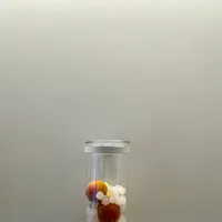 梅体験専門店　蝶屋　鎌倉店の写真・動画_image_1324241