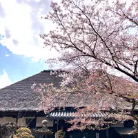 円通寺の写真・動画_image_1327764