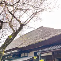 円通寺の写真・動画_image_1327765