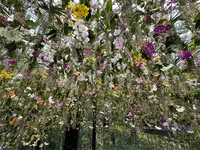 チームラボプラネッツ TOKYO (teamLab Planets TOKYO) DMMの写真・動画_image_1327792