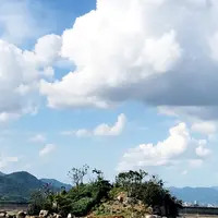 雌島の写真・動画_image_1327801