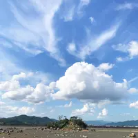 雌島の写真・動画_image_1327803