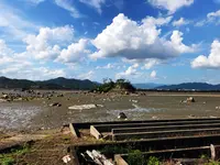 雌島の写真・動画_image_1327806